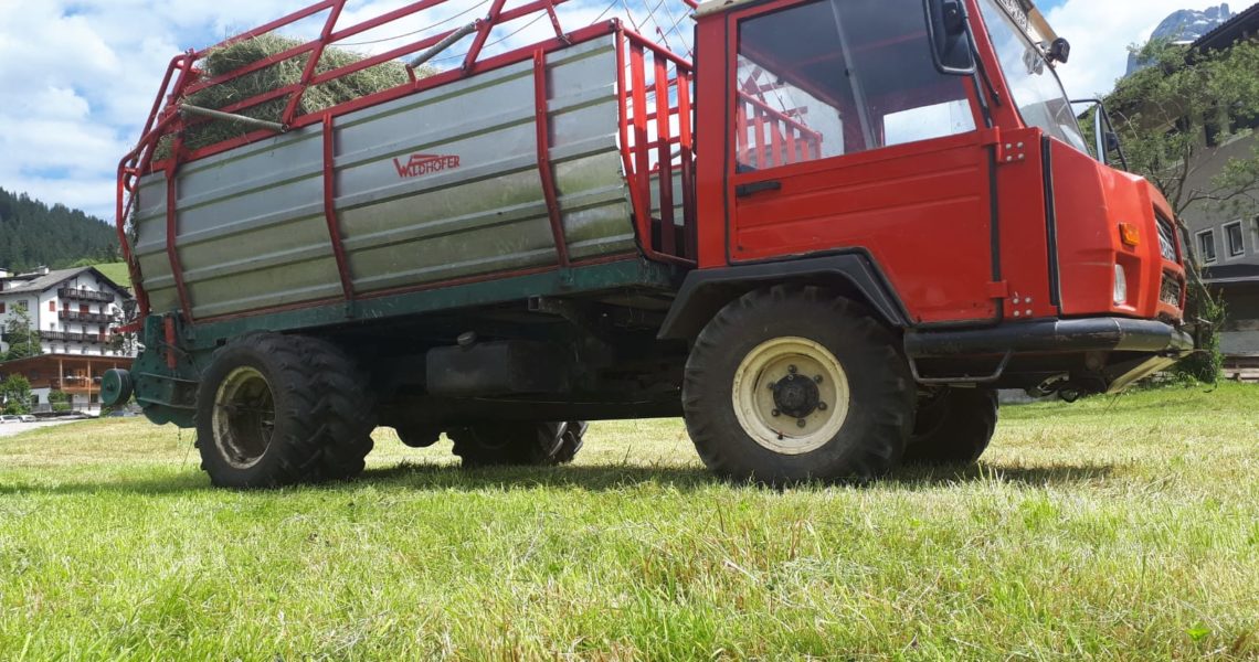 waldhofer-d65-1